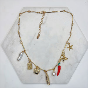 Versatile Charm Necklace