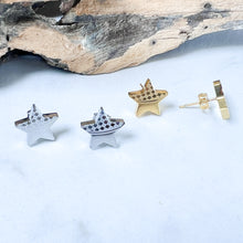 Load image into Gallery viewer, Small Star Earrings